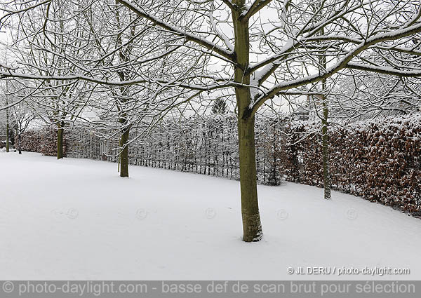 jardin sous la neige